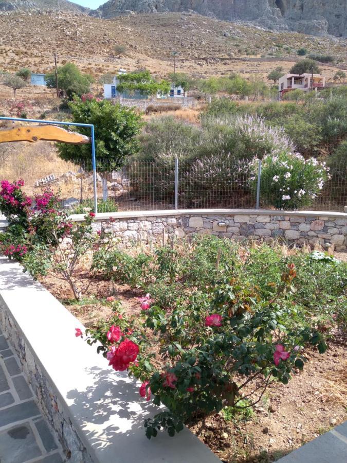 Villa Polymnia Emborios Esterno foto