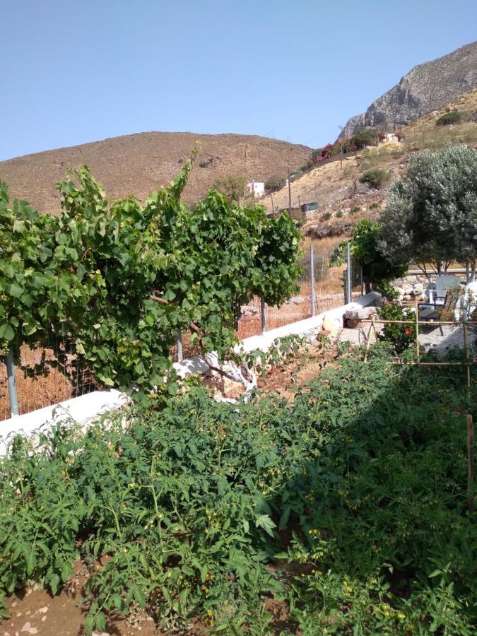 Villa Polymnia Emborios Esterno foto